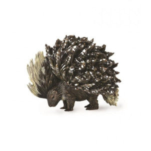 Puercoespin de la india collecta 1
