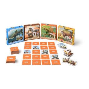 Juego de memoria mundo prehistorico collecta 2