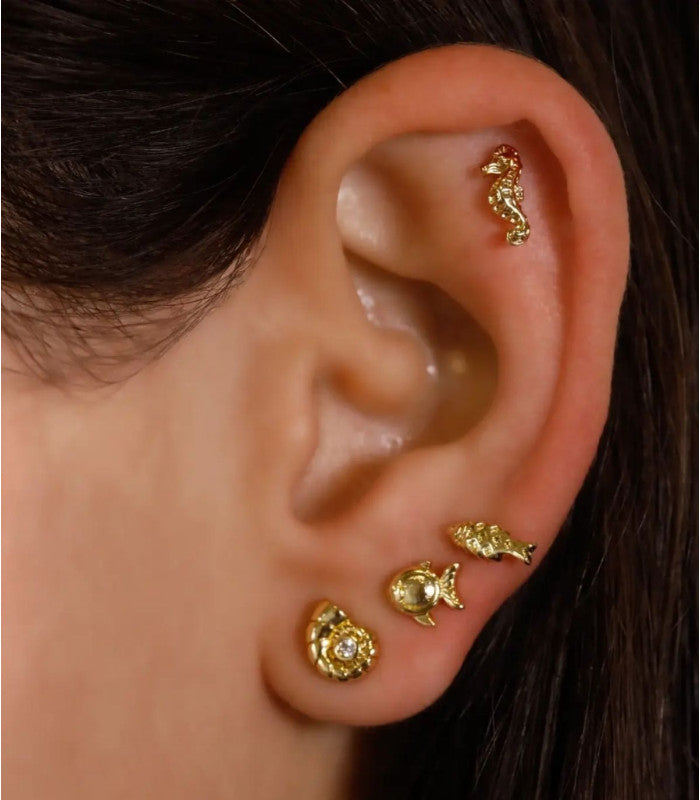 Piercing conch dorado anartxy 2