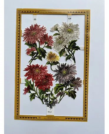 CROMOS INGLESES FLORES A28 1