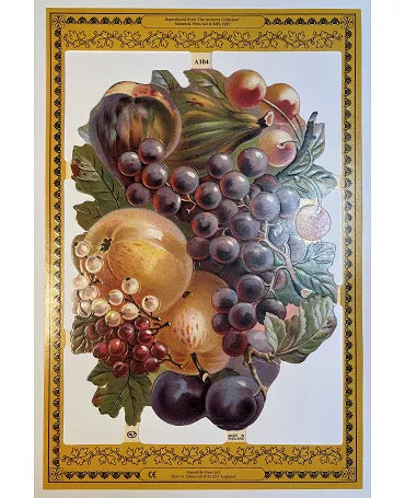 CROMOS INGLESES FRUTAS A104 AÑO 1995 1