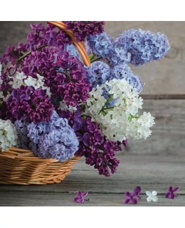 Servilletas PANIER DE FLEURS LILAS 1