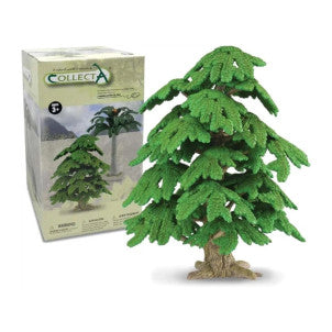 Arbol de ginkgo biloba collecta 1