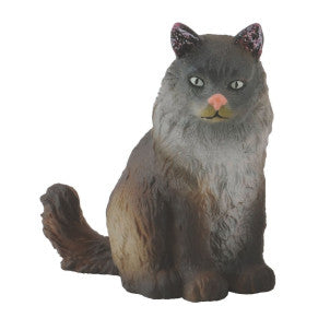 Gato noruego sentado collecta 1