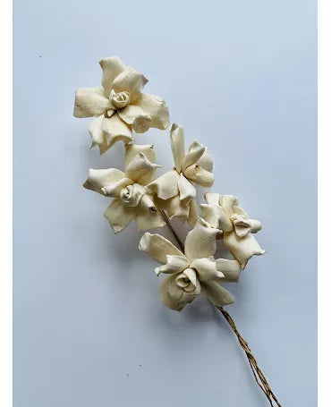 Flor SHOLA GARDENIA Blanca RAMO 8 RAMAS 1