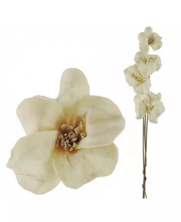 Flor SHOLA GARDENIA Blanca RAMO 8 RAMAS 2