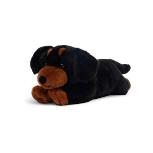 Tu amigo pumpkin el teckel peluches one love 2