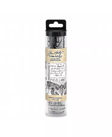 TIM HOLTZ Collage Paper Entomology 15 cm 1