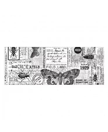 TIM HOLTZ Collage Paper Entomology 15 cm 2
