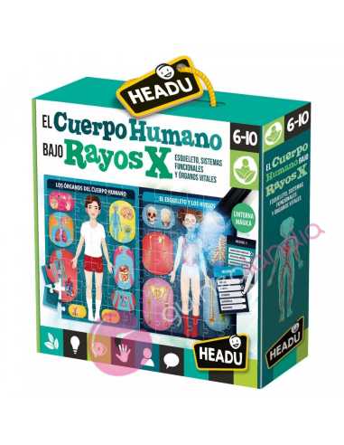 El Cuerpo Humano bajo Rayos X - Dendago