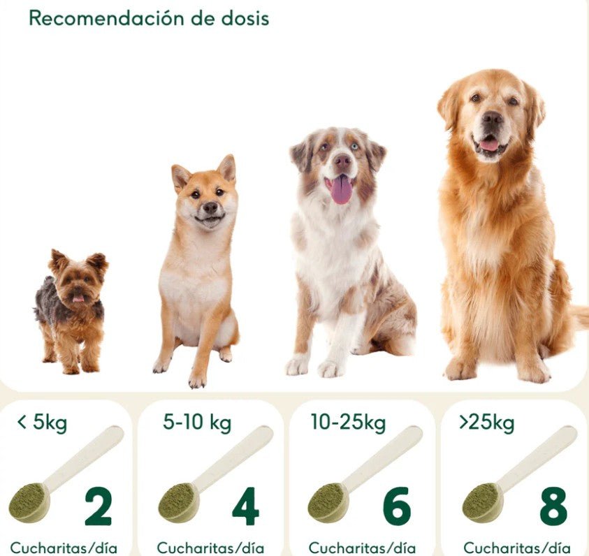 Espirulina orgánica - Dendago