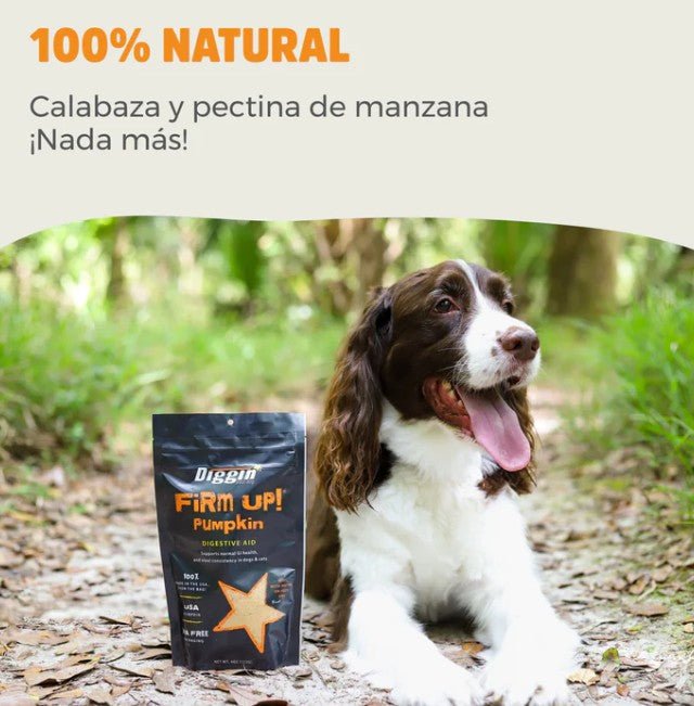 Firm up calabaza 113 gr - Dendago