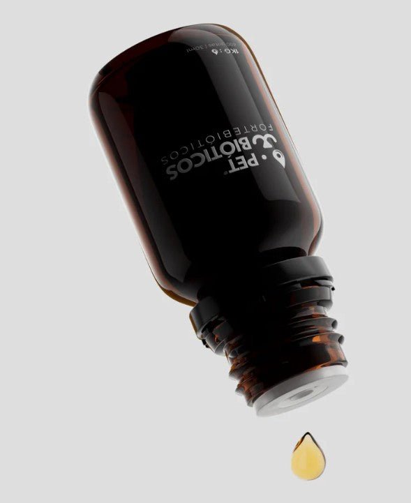 Fortebiótico perro 600 GOTAS | 30 ML - Dendago