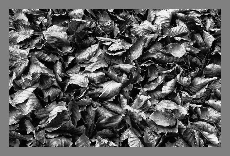 Fotografía País Vasco Goizueta, Nafarroa. - Dendago