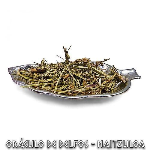 Hierba Hisopo - Hierba natural - Dendago