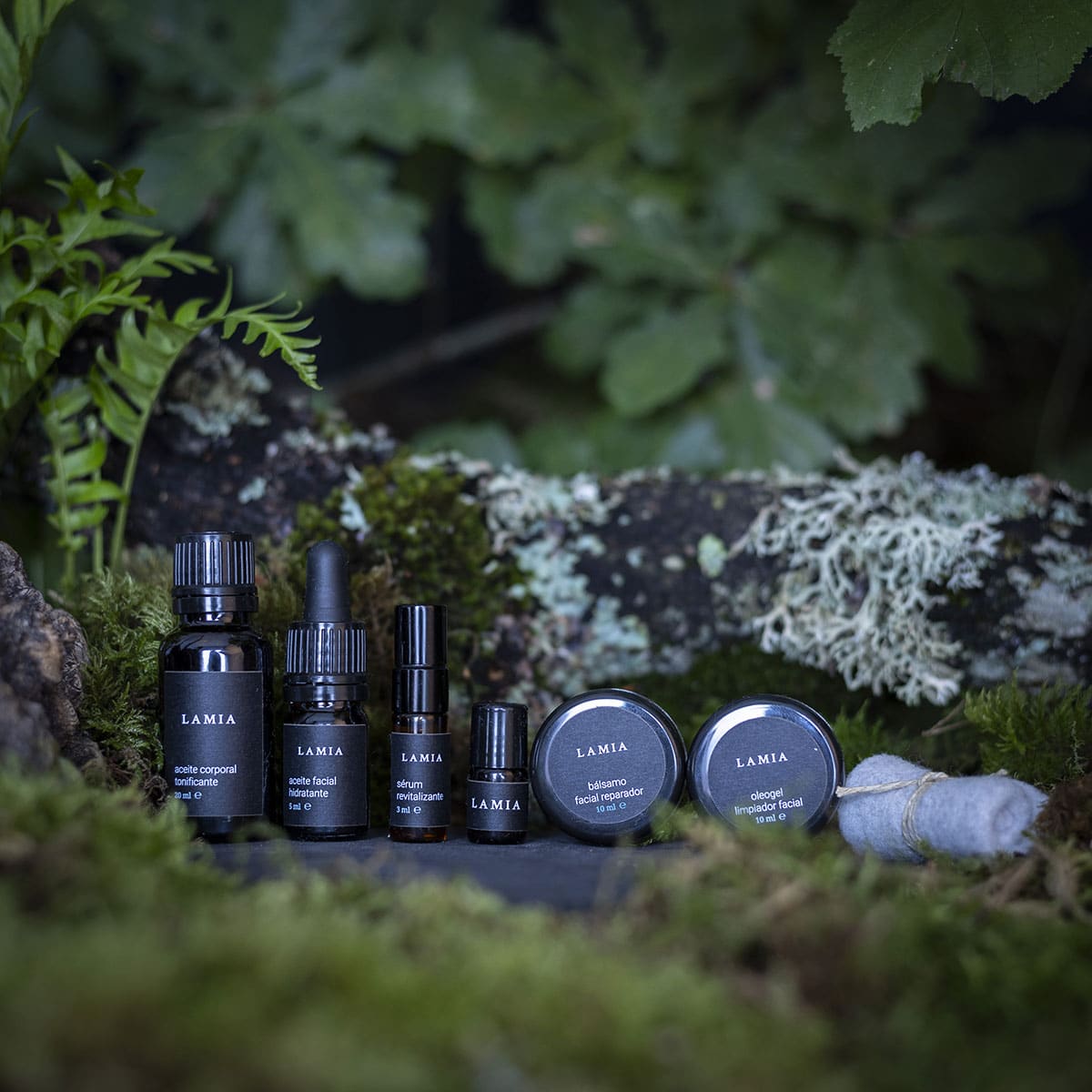 Kit Descubrimiento Lamia - Dendago