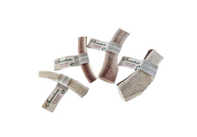 Media asta de ciervo XL - Dendago