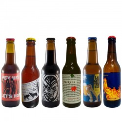 Pack Cerveza Artesana II 1