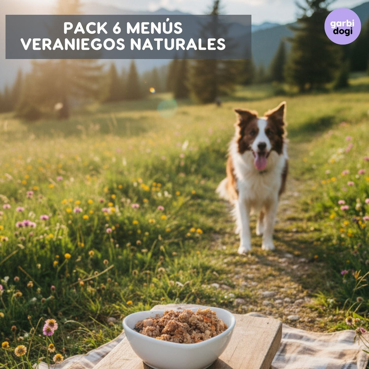 Pack Menús Naturales Verano – 6 x 810 g ☀️🐾