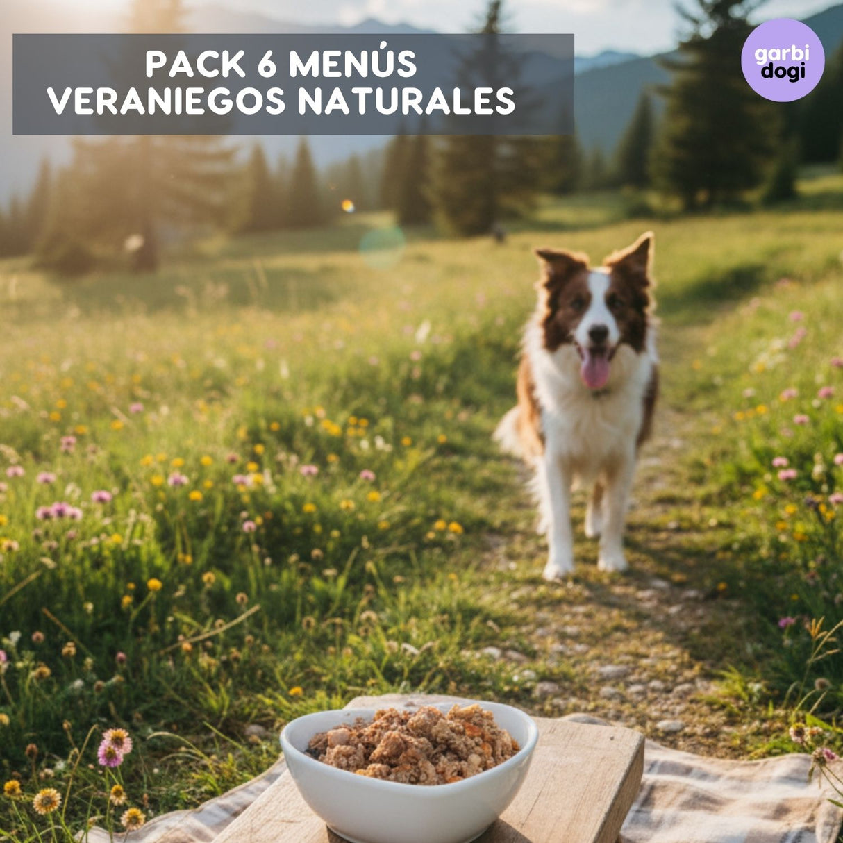 Pack Menús Naturales Verano – 6 x 810 g ☀️🐾