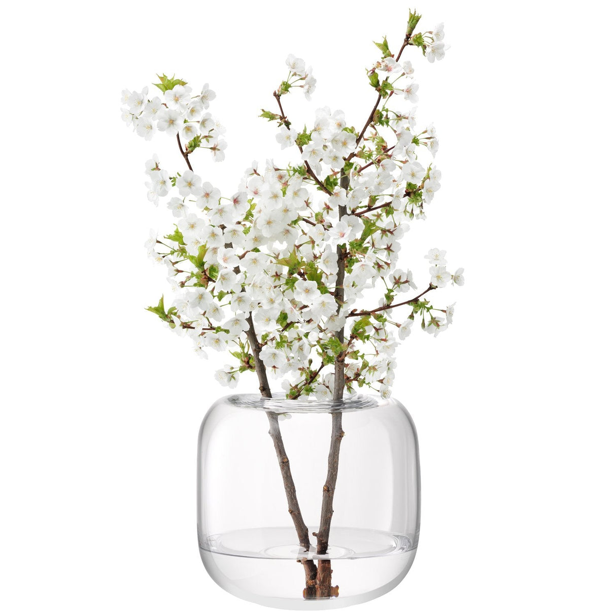 Recipiente de vidrio (H24cm) - Dendago