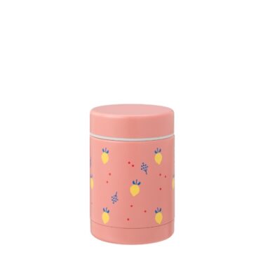 Termo sólidos 300ml Fresk