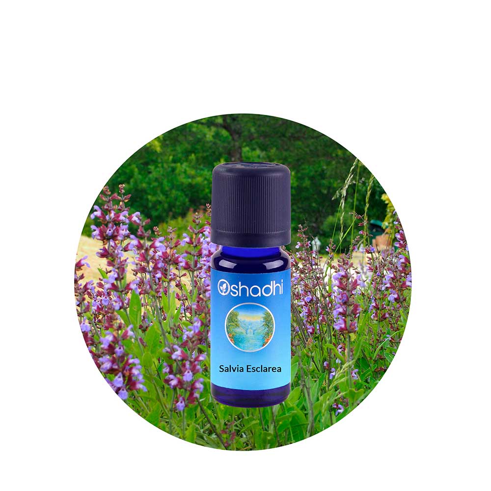 Aceite esencial salvia esclarea Oshadhi