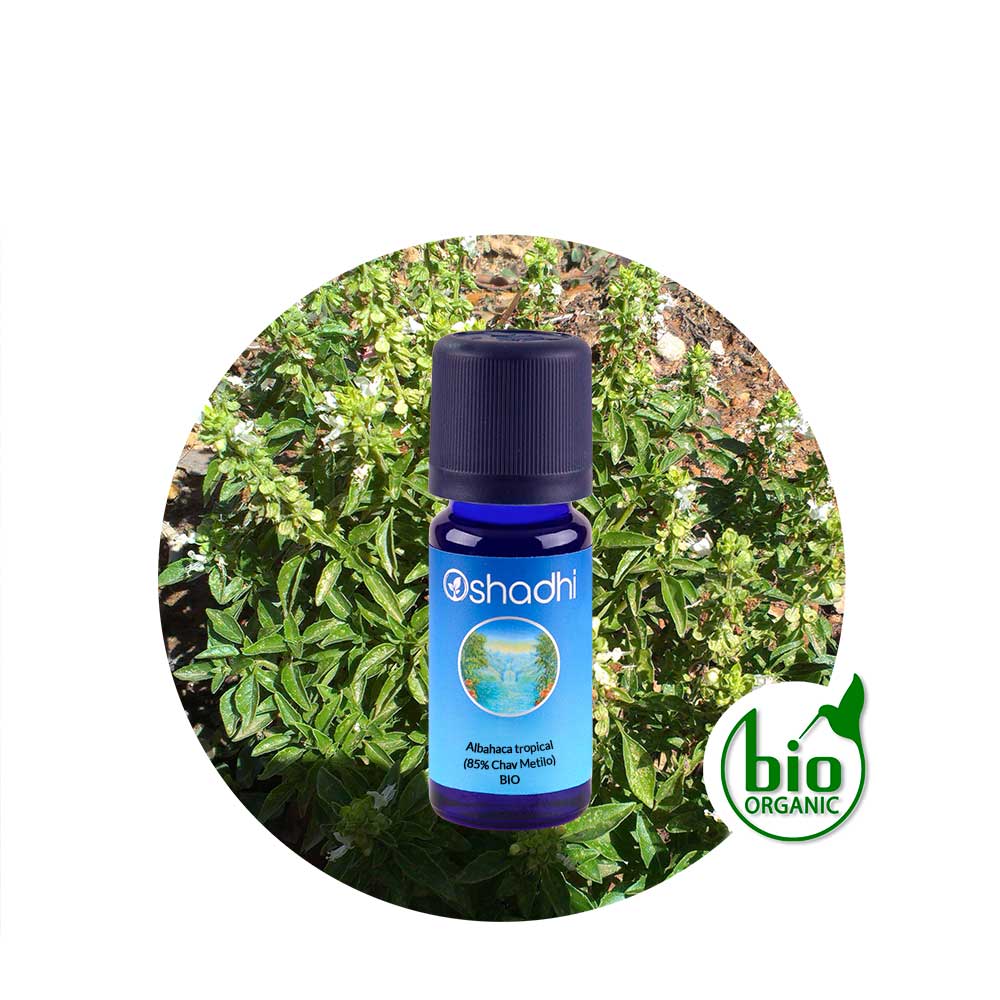 Aceite esencial de albahaca tropical Oshadhi