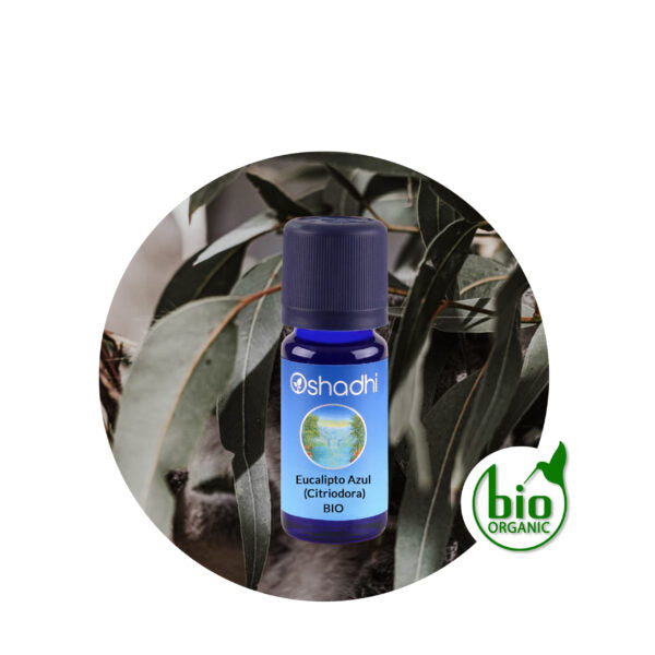AE eucalipto citriodora (azul) Oshadhi 10 ml