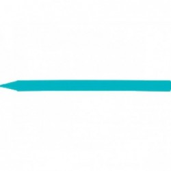 BIC 133 1