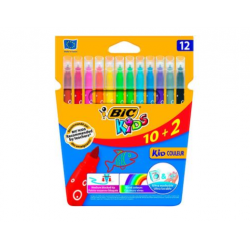 BIC 208 1