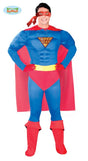 DISFRAZ HEROE (SUPERMAN) 1