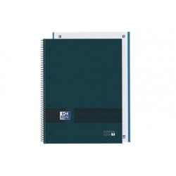 DEN 234 1