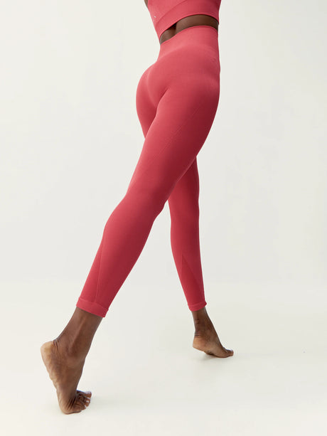 MALLA BORN AMAL ROSA 2