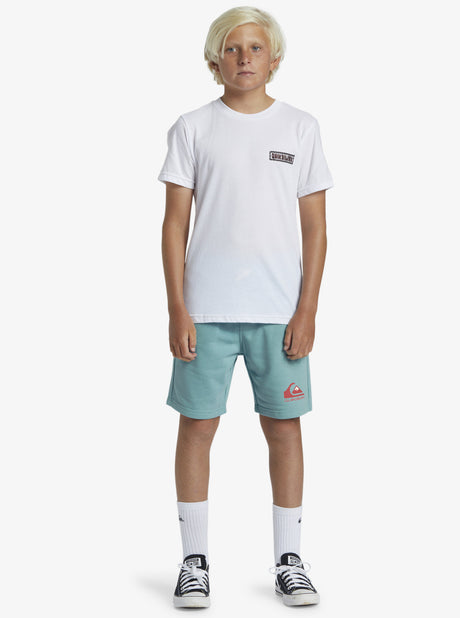 BERMUDA EASY DAY ALGODÓN QUIKSILVER LOGO TURQUESA 1