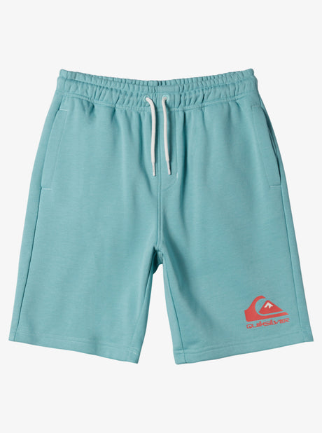 BERMUDA EASY DAY ALGODÓN QUIKSILVER LOGO TURQUESA 2