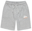 BERMUDA ALGODON NIÑO QUICKSILVER COLOR GRIS 1