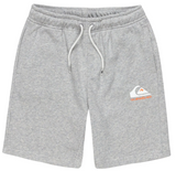 BERMUDA ALGODON NIÑO QUICKSILVER COLOR GRIS 1
