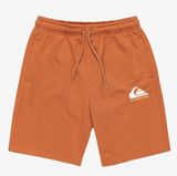 BERMUDA ALGODON NIÑO QUICKSILVER COLOR MARRON 1
