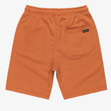 BERMUDA ALGODON NIÑO QUICKSILVER COLOR MARRON 2