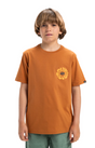 CAMISETA NIÑO LOGO QUICKSILVER COLOR MARRON 1
