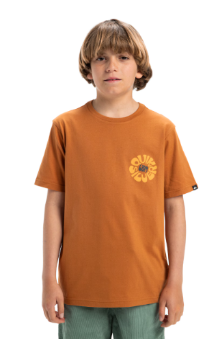 CAMISETA NIÑO LOGO QUICKSILVER COLOR MARRON 1