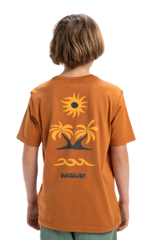 CAMISETA NIÑO LOGO QUICKSILVER COLOR MARRON 2