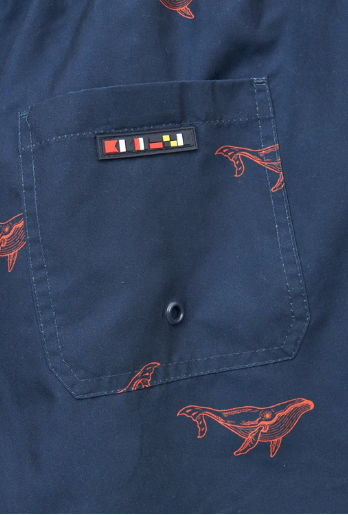 BAÑADOR BALLENA BATELA COLOR MARINO 2