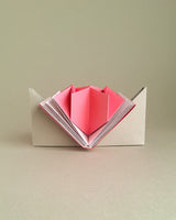 Cuaderno leporello LibRosa