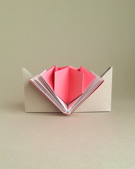 Cuaderno leporello LibRosa
