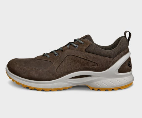 ZAPATO GTX MARRON ECCO BIOM 2