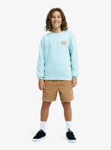 SUDADERA C/CAJA TURQUESA´26 MARCA QUIKSILVER 1