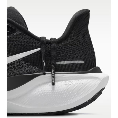 ZAP.RUN Sr ZOOMPEGASUS41 NGR 2