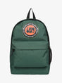 MOCHILA QUIKSILVER EVERYDAY 20L 1